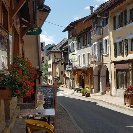Apartament Studio Avenue De Savoie *